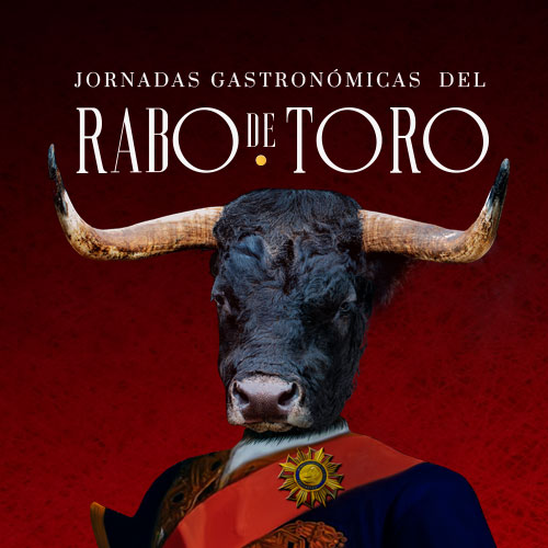 banner_toro